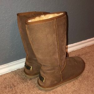 Chestnut Fur Boots